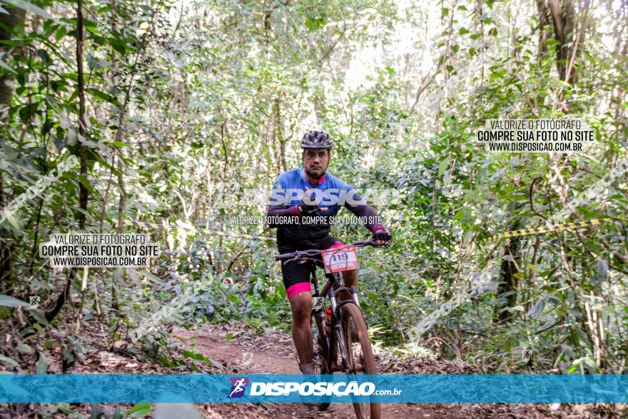 Circuito AEJ MTB 2023