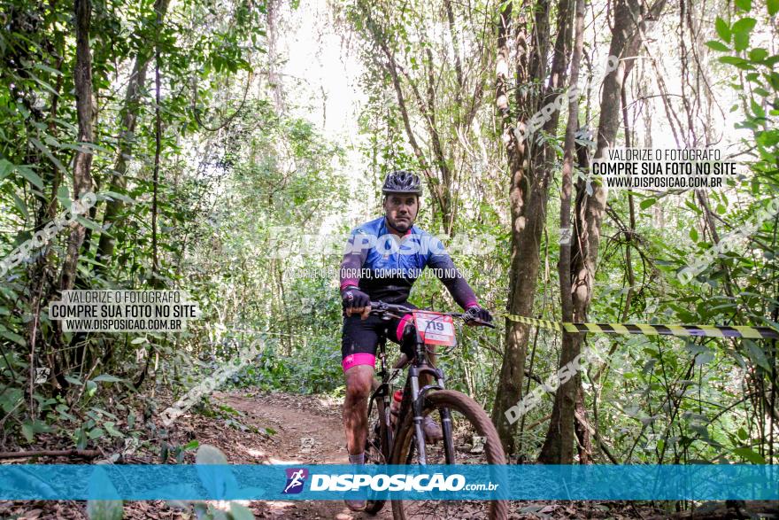 Circuito AEJ MTB 2023