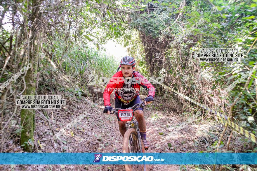 Circuito AEJ MTB 2023