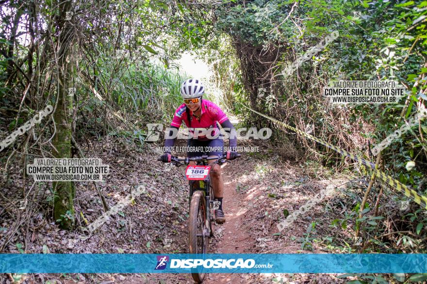 Circuito AEJ MTB 2023