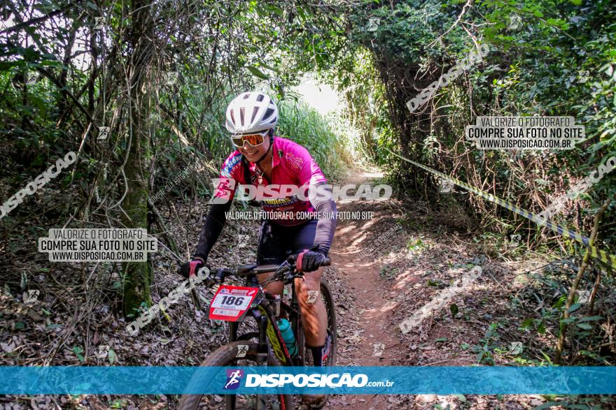 Circuito AEJ MTB 2023