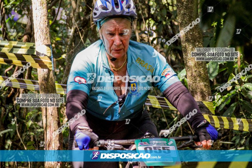 Circuito AEJ MTB 2023