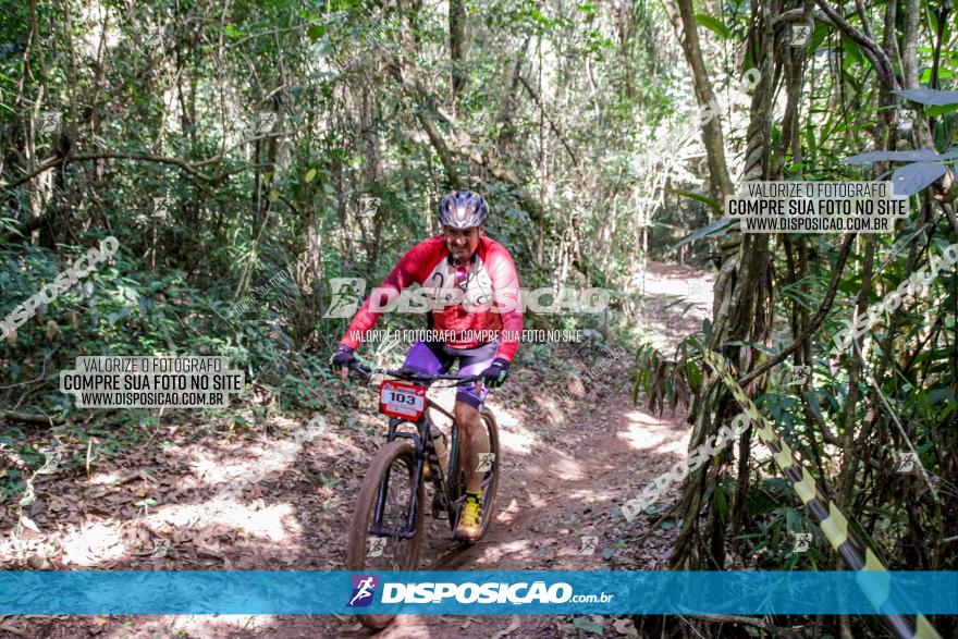 Circuito AEJ MTB 2023