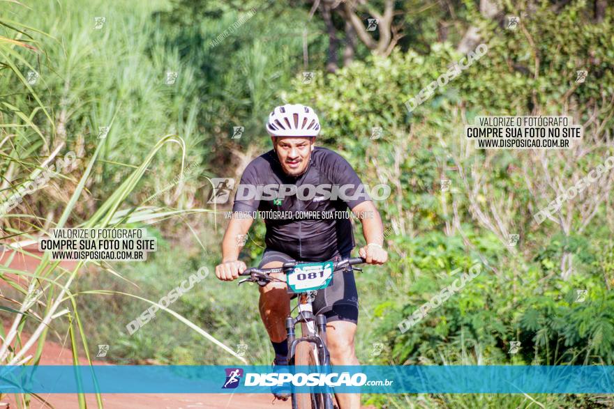 Circuito AEJ MTB 2023