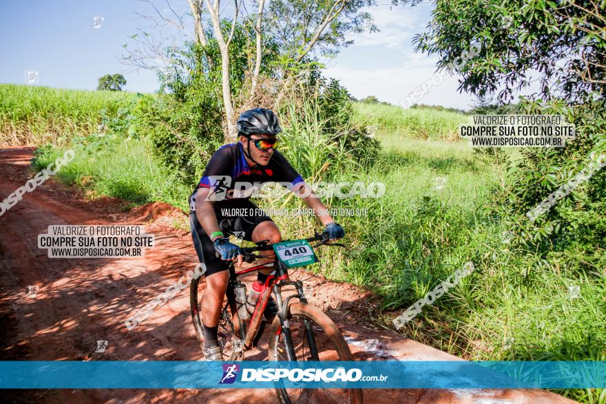 Circuito AEJ MTB 2023