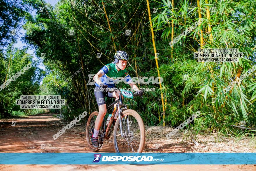 Circuito AEJ MTB 2023