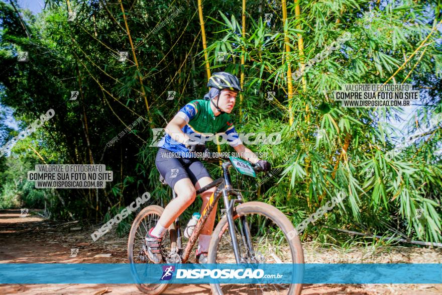 Circuito AEJ MTB 2023