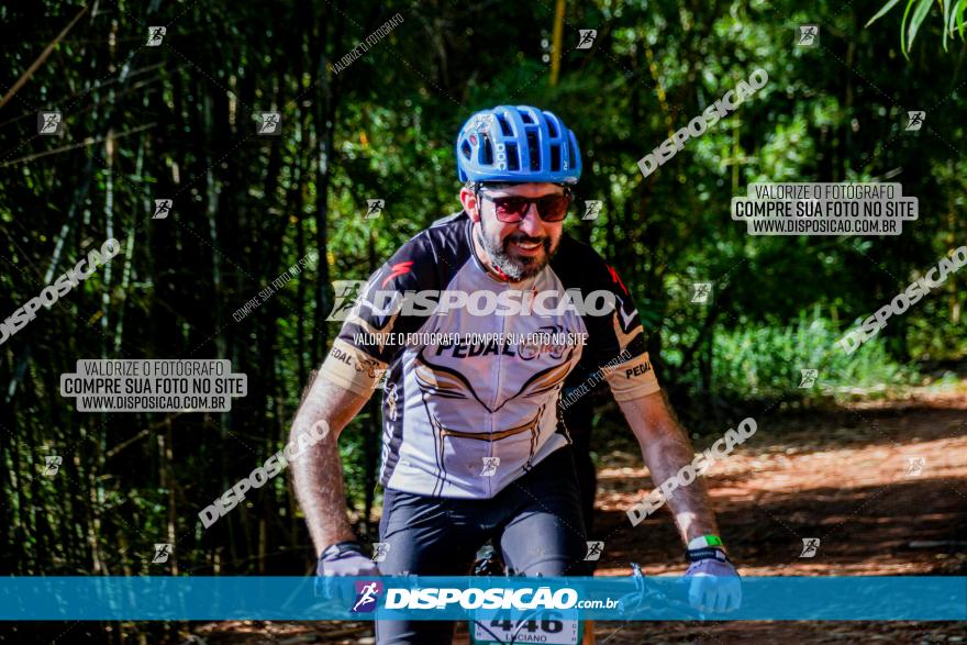 Circuito AEJ MTB 2023