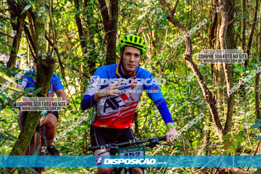 Circuito AEJ MTB 2023