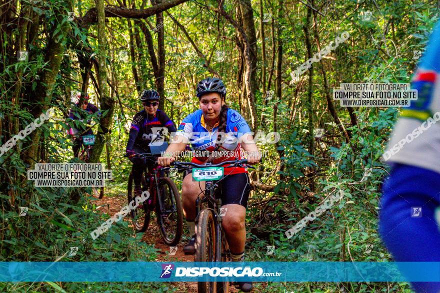 Circuito AEJ MTB 2023