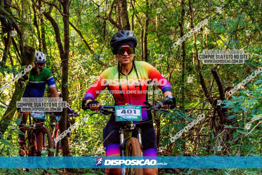 Circuito AEJ MTB 2023