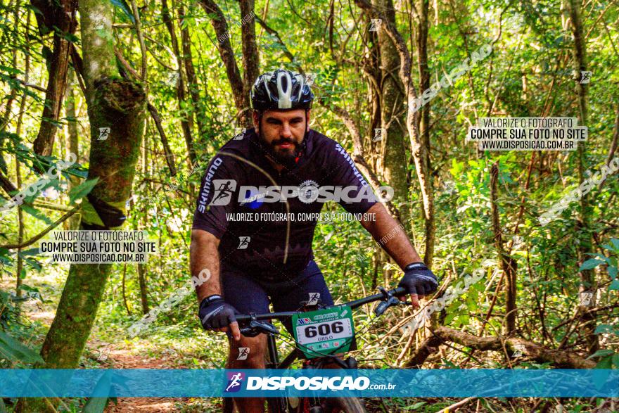 Circuito AEJ MTB 2023