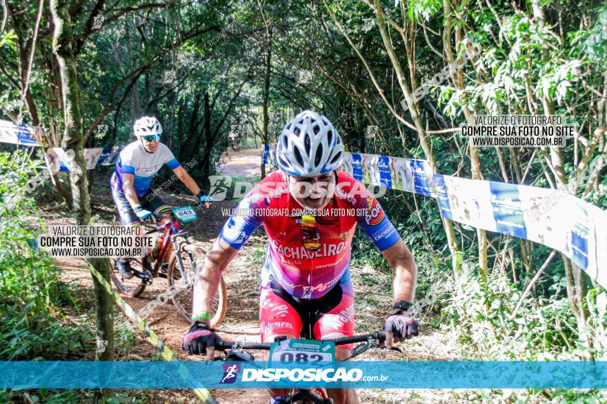 Circuito AEJ MTB 2023