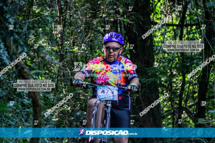 Circuito AEJ MTB 2023