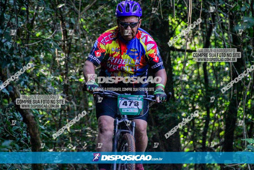 Circuito AEJ MTB 2023