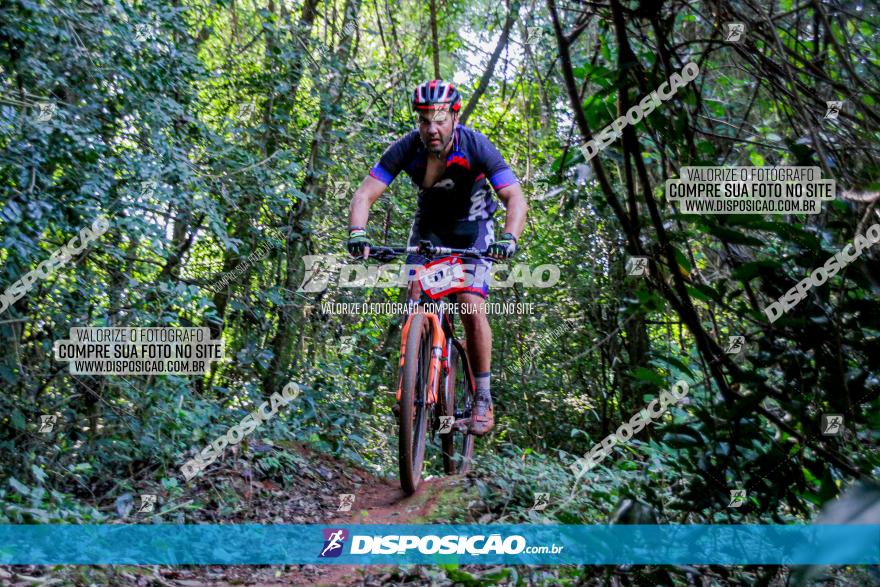 Circuito AEJ MTB 2023