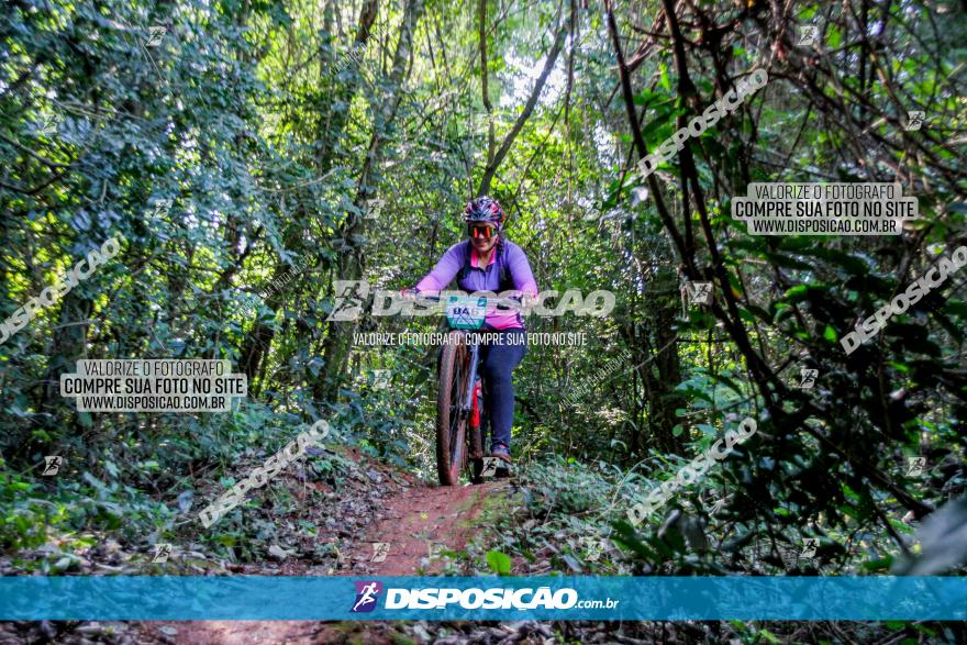 Circuito AEJ MTB 2023