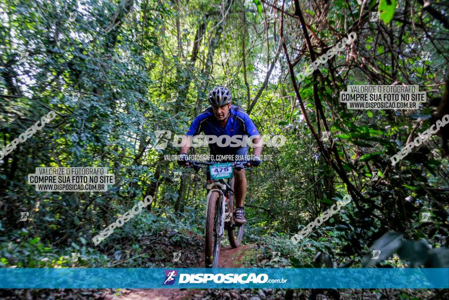 Circuito AEJ MTB 2023