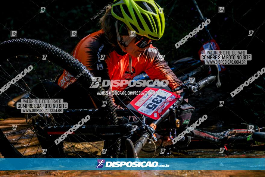 Circuito AEJ MTB 2023