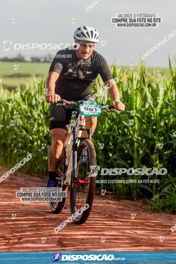 Circuito AEJ MTB 2023