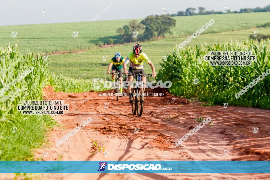 Circuito AEJ MTB 2023