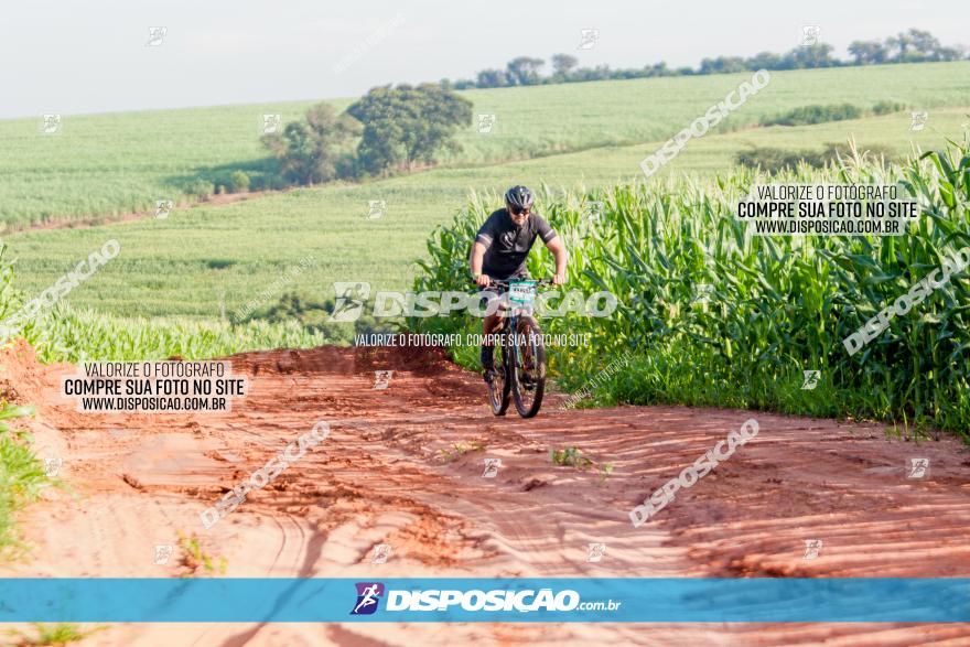 Circuito AEJ MTB 2023