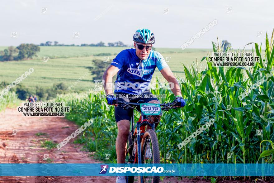 Circuito AEJ MTB 2023