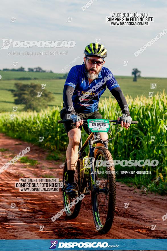 Circuito AEJ MTB 2023