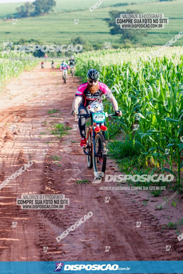 Circuito AEJ MTB 2023