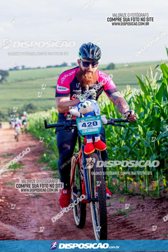 Circuito AEJ MTB 2023