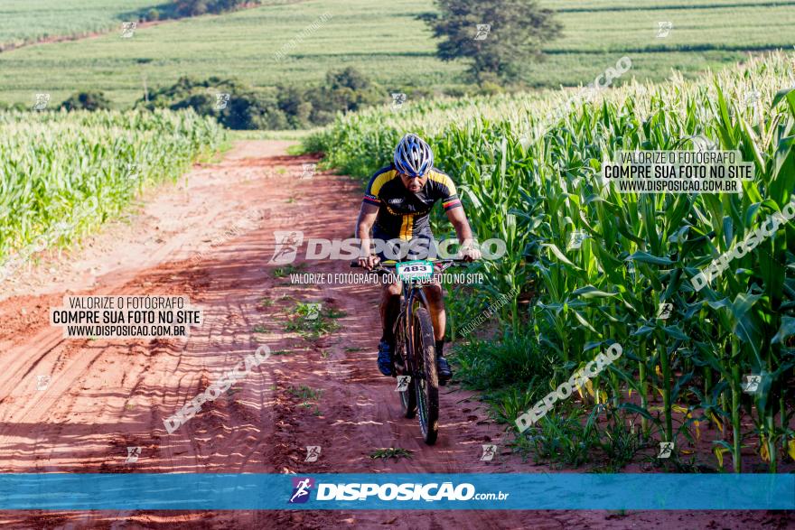 Circuito AEJ MTB 2023