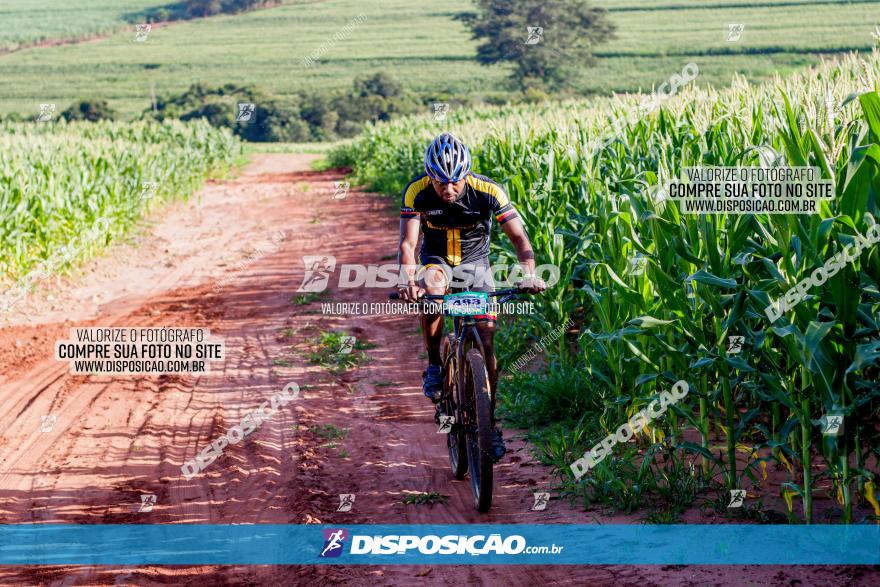 Circuito AEJ MTB 2023