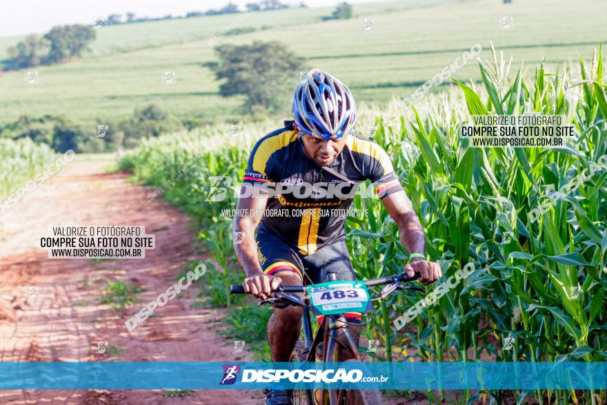 Circuito AEJ MTB 2023