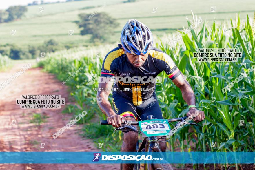 Circuito AEJ MTB 2023