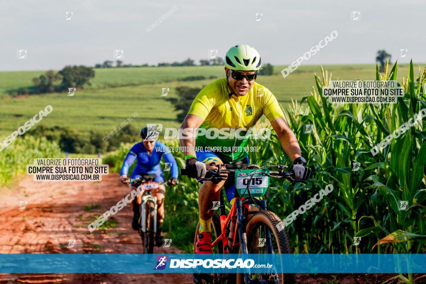 Circuito AEJ MTB 2023