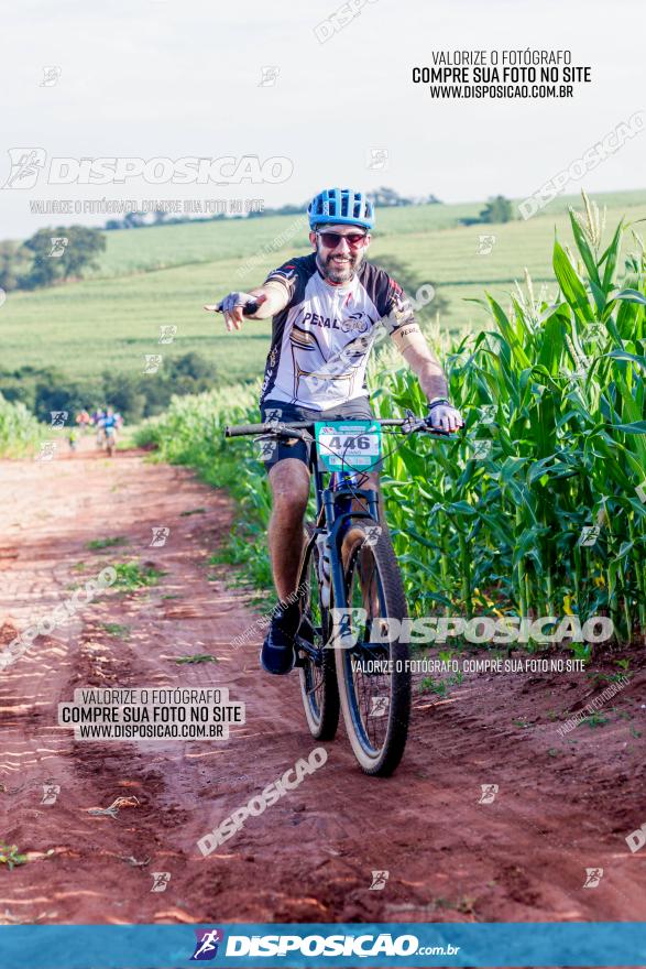 Circuito AEJ MTB 2023