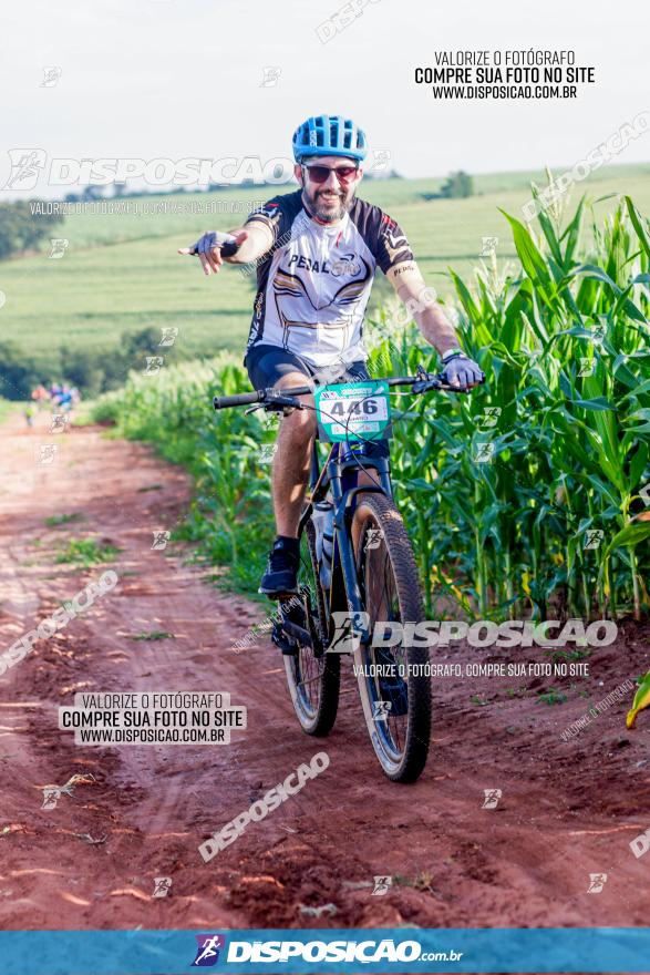 Circuito AEJ MTB 2023