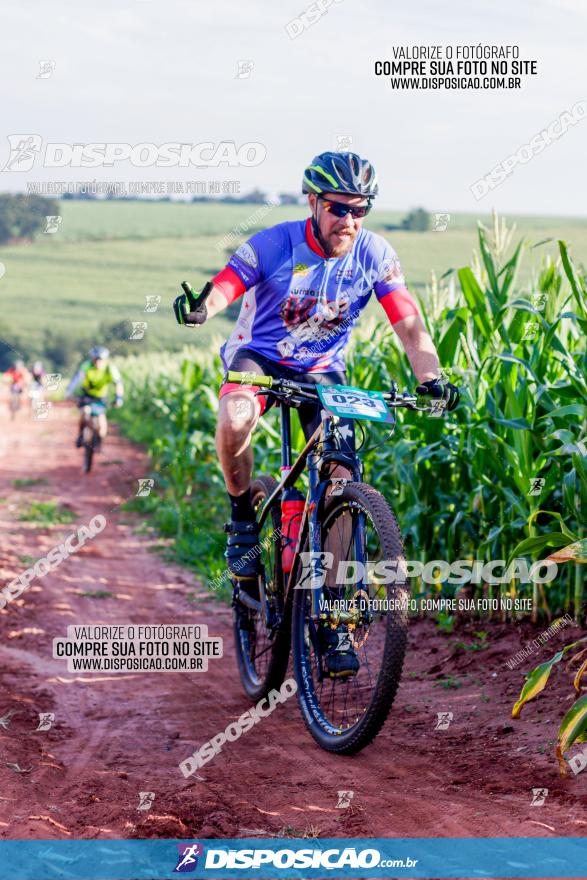 Circuito AEJ MTB 2023