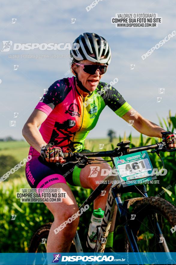 Circuito AEJ MTB 2023