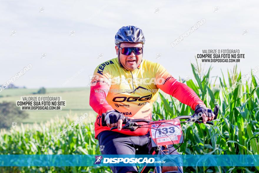 Circuito AEJ MTB 2023