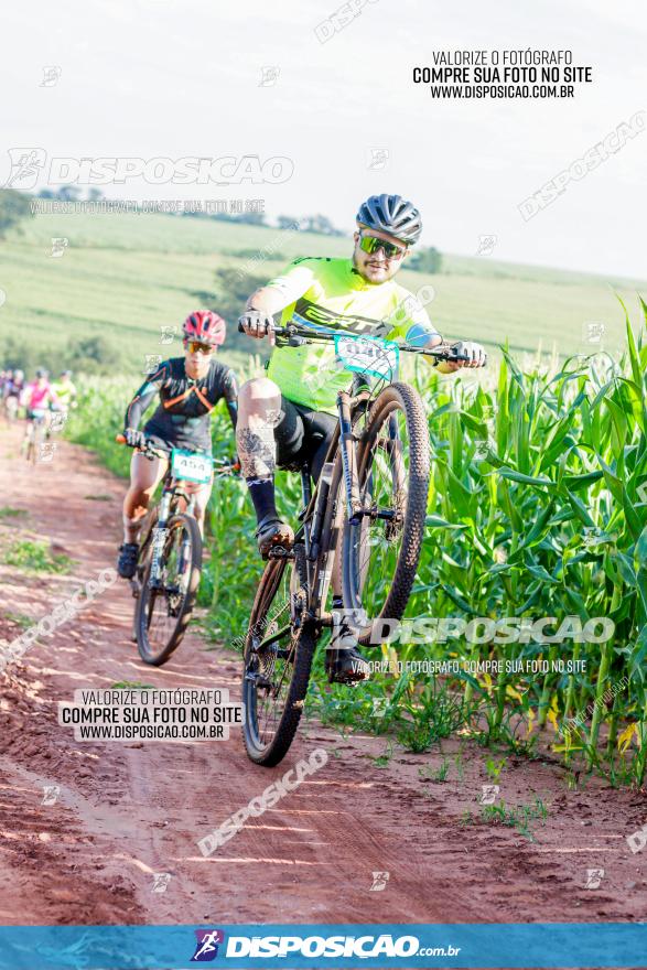 Circuito AEJ MTB 2023