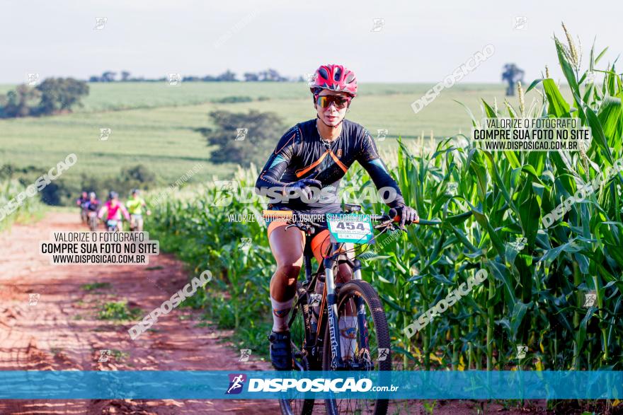 Circuito AEJ MTB 2023