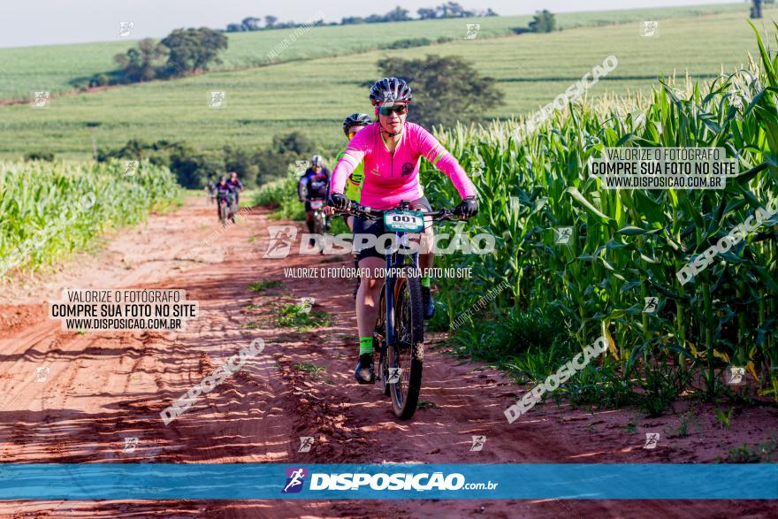 Circuito AEJ MTB 2023