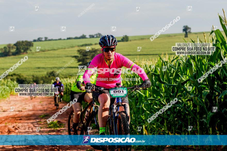 Circuito AEJ MTB 2023