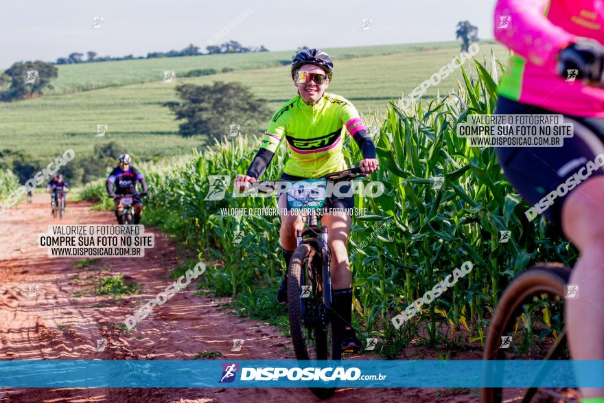 Circuito AEJ MTB 2023