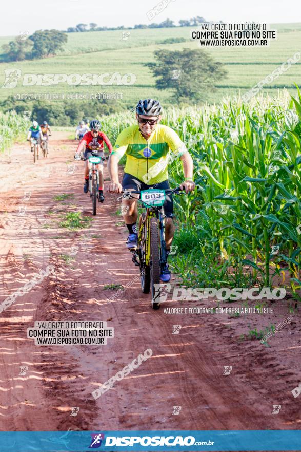 Circuito AEJ MTB 2023