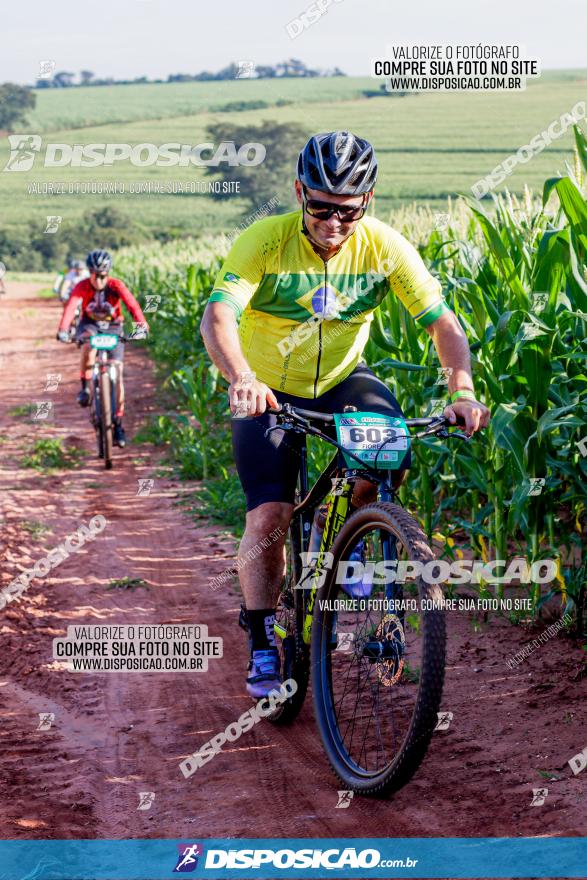 Circuito AEJ MTB 2023