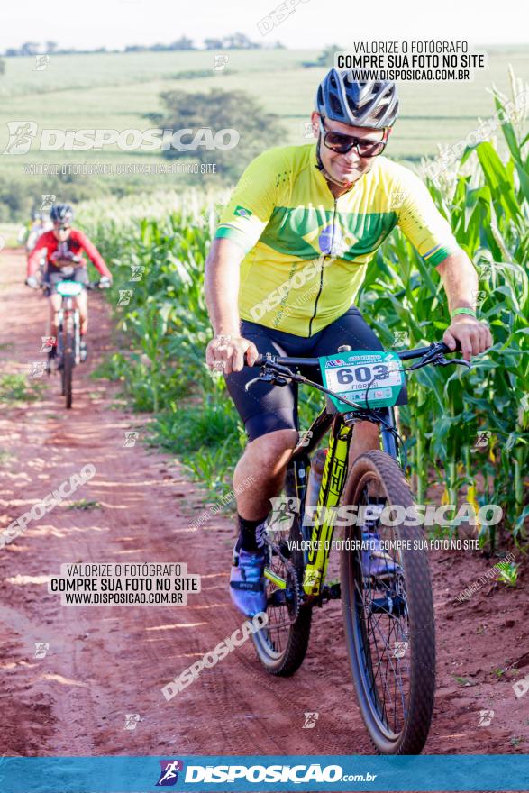 Circuito AEJ MTB 2023