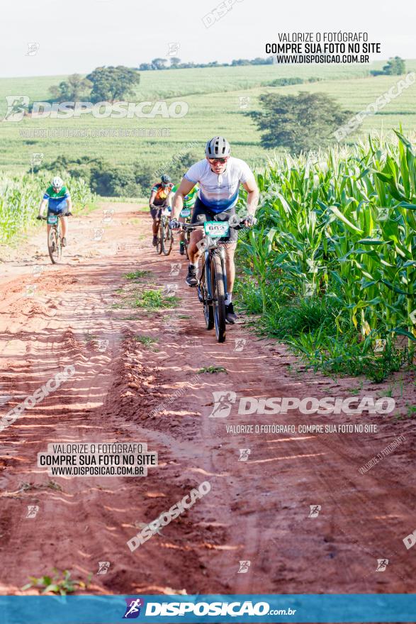 Circuito AEJ MTB 2023