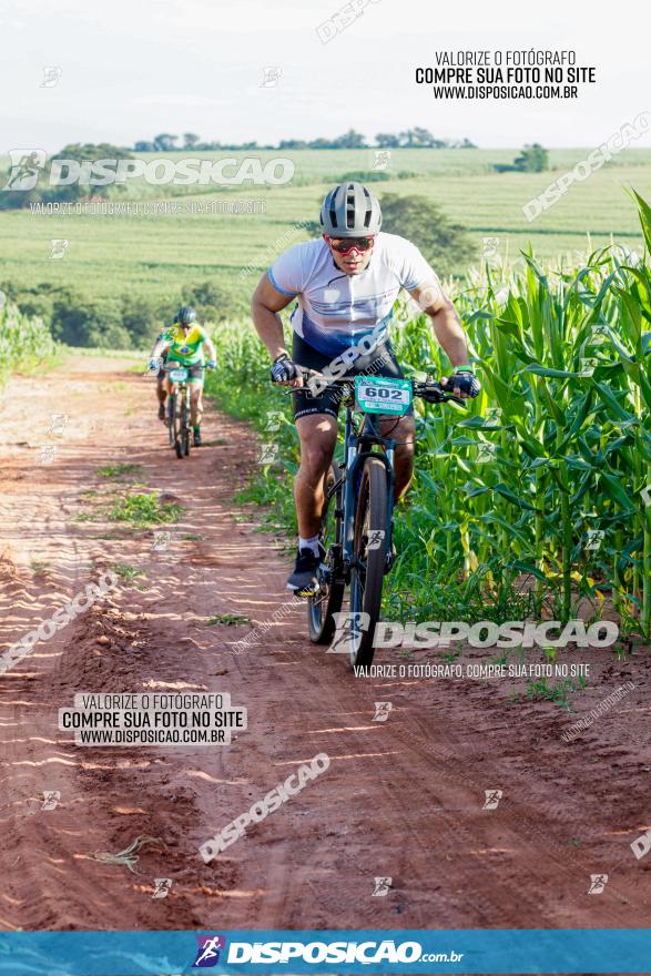 Circuito AEJ MTB 2023